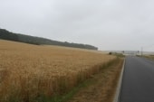 D125 à l'Est d'Harquency